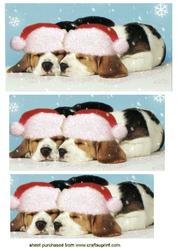 Cute Little Puppies in Santa Hats,pyramids