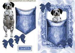 Dalmation Puppy in a Pocket