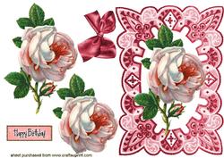 Pink Rose
