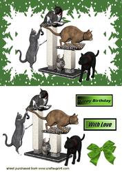 Playful Kitties