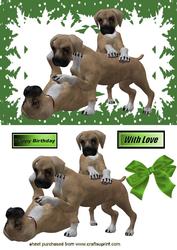 Playfull Puppies