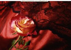 Rose & Black Lace A4 Topper