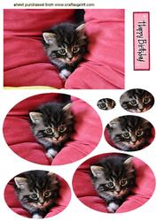 Cute Little Kitten, Oval Pyramids