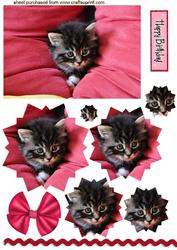 Cute Kitten, Star Pyramids