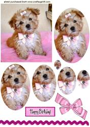 Cute Little Terrier Puppy, Oval Pyramids
