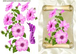 Pink Petunias on a Scroll