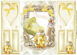 Sweet Baby Girl/boy in Lemon, Gatefold
