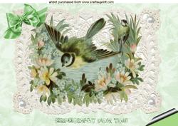 Pretty Bird on Ecru Lace A4 Topper