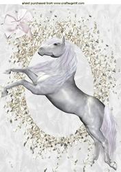 Beautiful White Horse, A4 Topper