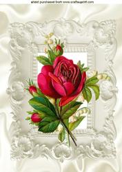 Single Red Rose in Frame, A4 Topper