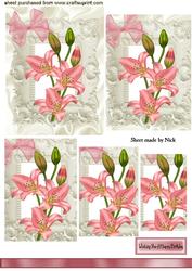 Pink Lilly in Ornate Frame, Pyramids