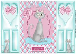 Cat Lover, Gatefold