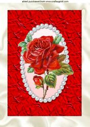 Beautiful Single Red Rose on Satin in Pearl Frame, A4 Topper