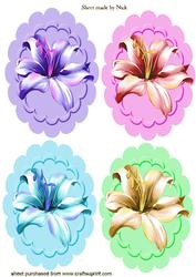 Lilly Toppers