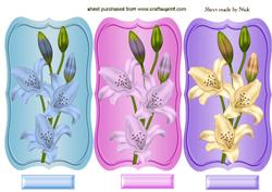 Pretty Lily Toppers