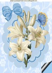 Pretty Cream Lily on Blue Scalloped Frame A4