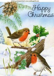 Playful Robins in the Snow, A4