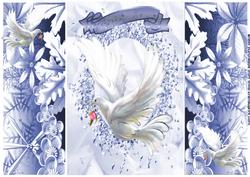 Beautiful White Dove in Flight, Gatefold