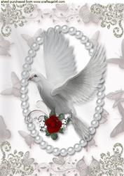 White Dove with Red Rose in Flight, in a Pearl Frame, A4