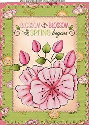 Spring Flowers & Butterflies in a Frame