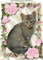 Cute Little Kitty in Frame of Pink Roses A4