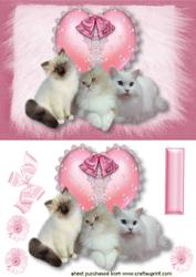 Fluffy Kitties on a Lace Heart