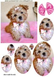 Cute Little Puppy with Bow, Oval Pyramids