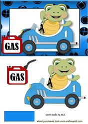 Turtle in a Racing Car