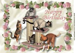 Playful Cats in a Frame of Pink Roses A4