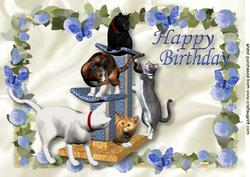 Playful Kitties in Blue Rose Frame A4