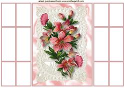 Pretty Pink Flowers on Ecru Lace, French Doors
