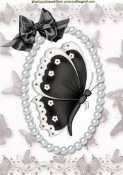 Pretty Black & White Butterfly, in Pearl Butterfly Frame A4