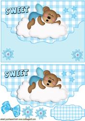 Sleeping Bear on a Cloud, Scalloped Envelope