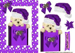 Cute Little Westie, in Purple Santa Hat