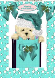 Cute Westie in Turq Santa Hat A4