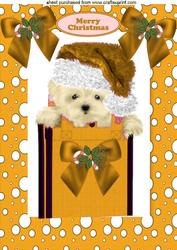 Cute Westie in Gold Santa Hat A4