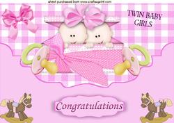 Double Trouble, Twin Baby Girls A4