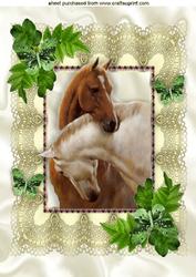 Beautiful Horses Heads Entwined in Lace Frame A4