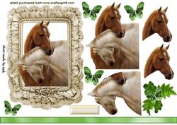Beautiful Horses Heads Entwined in Frill Frame