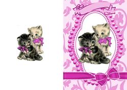 Cute Kitties in Bead Frame with Pink Bows A5 Card