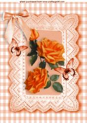 Orange Roses with Butterflies in Gingham Frame A4