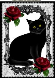 Black Cat in Black Cat in Lace Frame with Red Roses A4