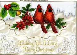 Red Cardinals on a Snowy Branch A4