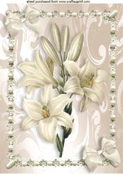 White Lillies in Pearl Frame with Bow A4