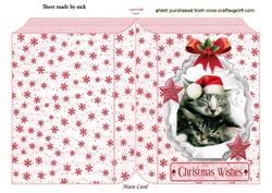 Cute Pair of Kitties Sleeping, Folded Book