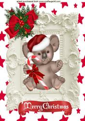 Koala with Stars, Bows, in Ornate Frame A4
