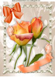 Peach Roses in a Pretty Pearl Frame A4