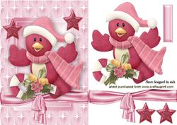 Cute Robin in Santa Hat in Star Frame