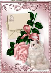 Pink Rose with Fluffy White Cat A4