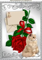 Christmas Red Rose with Fluffy Cat A4